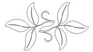 Apple leaf sash c