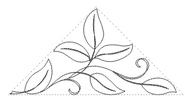 Apple leaf tri g